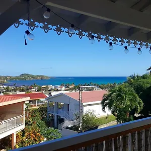 Frangipani Dans Fleurs Des Iles Appartement